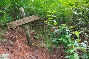forest grave site marked by cross